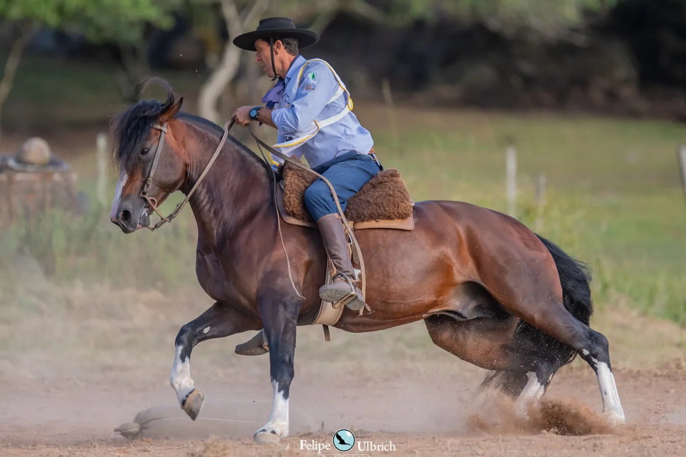 Anderson Nunes montado em prova, cavalo em movimento e olhar concentrado